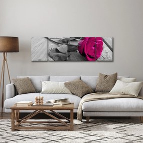 Obraz - Różowa róża (170x50 cm)
