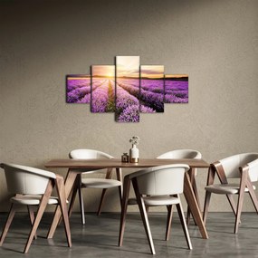 Obraz - Wschód słońca na polu lawendy (125x70 cm)