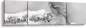 Obraz - Ptak na gałęzi (170x50 cm)