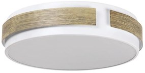 Rabalux 5646 - ściemnialna oprawa sufitowa LED SALMA LED/24W/230V