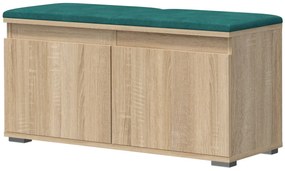 Szafka na buty z drzwiczkami dąb sonoma + zielony - Risix 3X