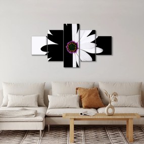 Obraz czarno - białego kwiatu (125x70 cm)