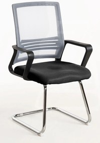 Pewny siebie Krzeso Kole