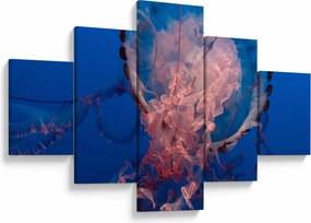 Obraz meduzy (125x70 cm)