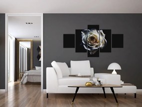 Obraz białej róży (125x70 cm)