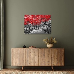 Obraz - Czerwone drzewa, Central Park, New York (70x50 cm)