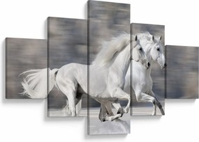 Obraz - Białe konie zimą (125x70 cm)