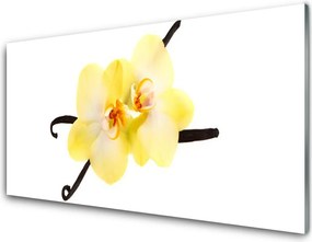 Panel Szklany Pełnia Barw Natury