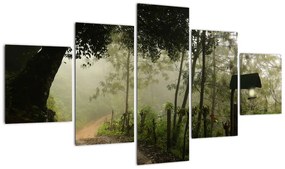 Obraz porannej mgły (125x70 cm)