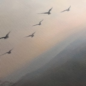 Obraz - Stado ptaków (170x50 cm)