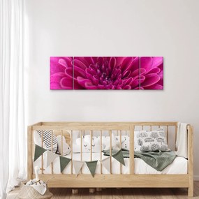 Obraz kwiatu (170x50 cm)