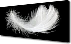 Obraz na płótnie Lekkość Białego Piórka