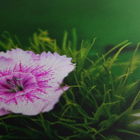 Obraz kwiatu róży (170x50 cm)