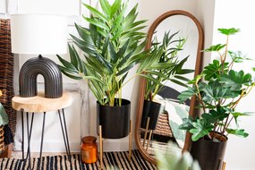 Lustro owalne w drewnianej ramie Gianni, 35 x 90 cm