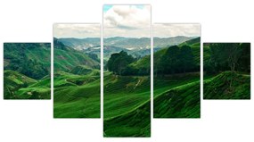 Obraz - Plantacje herbaty w Malezji (125x70 cm)
