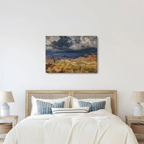 Obraz - kaktusy w przyrodzie (70x50 cm)