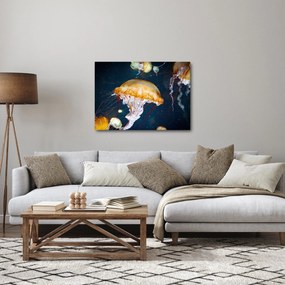 Obraz meduzy (70x50 cm)