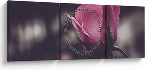 Obraz - Detal kwiatu róży (z zegarem) (90x30 cm)