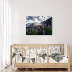 Obraz na szkle - Sceneria łubinów (70x50 cm)