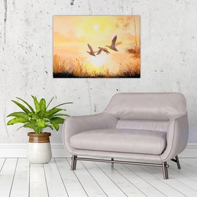 Obraz - Żurawie o zachodzie słońca (70x50 cm)