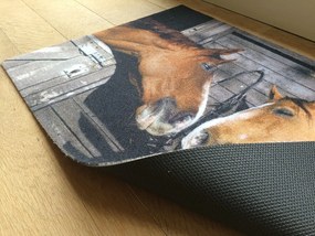 Wycieraczka Deco Star Koniki 50 cm x 80 cm