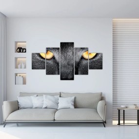 Obraz - Portret kota z bliska (125x70 cm)