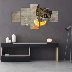 Obraz motyla (125x70 cm)