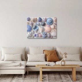 Obraz na szkle - Kolekcja muszli (70x50 cm)