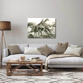 Obraz - Żyrafy, vintage (70x50 cm)
