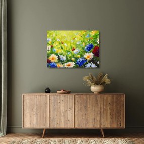 Obraz na szkle kwitnącej łąki, obraz olejny (70x50 cm)