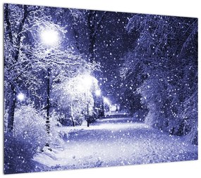 Obraz na szkle - Magiczna zimowa noc (70x50 cm)