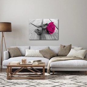 Obraz - Różowa róża (70x50 cm)