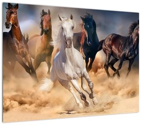 Obraz - Konie na pustyni (70x50 cm)