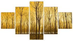 Obraz lasu o zachodzie słońca (125x70 cm)