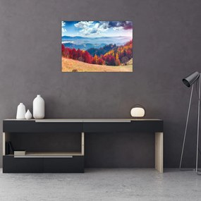 Obraz kolorowego jesiennego krajobrazu (70x50 cm)