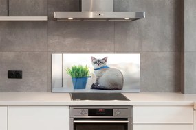 Panel szklany do Kuchni Dostojny Siedzący Kot