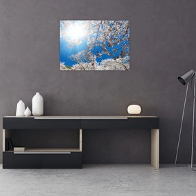 Obraz - Wiśniowe kwiaty (70x50 cm)