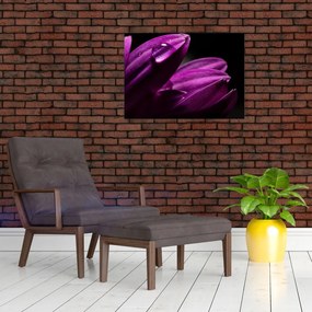 Obraz  - Kropla wody (70x50 cm)
