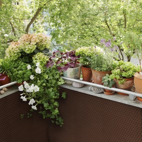 Osłona balkonowa Tress 0,9 x 3 m brązowa PATIO