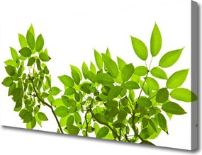 Obraz canvas Botaniczny Detal Roślinny