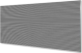 Szkło do Kuchni na Ścianę Motyw Zwierzęcy: Zebra