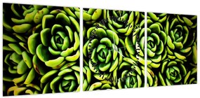 Obraz bez grzywki (z zegarem) (90x30 cm)
