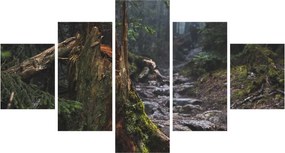 Obraz - W lesie (125x70 cm)