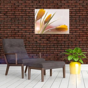 Obraz - Wiosenne kwiaty (70x50 cm)