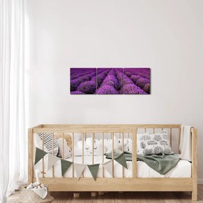 Obraz - Pole lawendy (z zegarem) (90x30 cm)