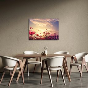Obraz - Łąka z kwiatami (70x50 cm)