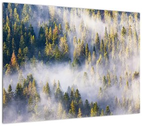 Obraz na szkle drzew we mgle (70x50 cm)