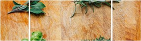 Obraz - Zioła (170x50 cm)