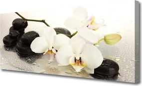 Obraz canvas na ścianę Egzotyczny Biały Storczyk