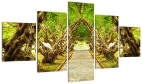 Obraz - Żywy tunel plumerii (125x70 cm)